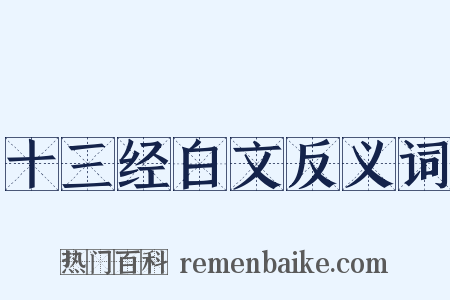 十三经白文反义词是什么意思的图片
